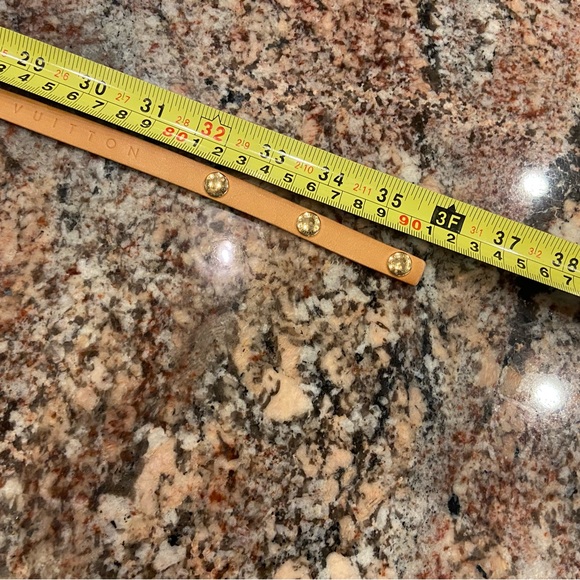 Louis Vuitton Florentine Belt Bag - Picture 14 of 16